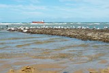 Zeeland-102