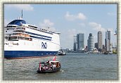 wereldhavendag-135 * 7275 x 4855 * (15.19MB)