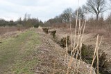 Moerputten-103