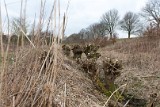Moerputten-104