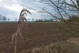 Moerputten-105