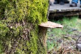 Moerputten-109