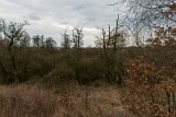 Moerputten-112