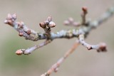 Moerputten-118
