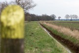 Moerputten-119