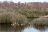 Moerputten-124