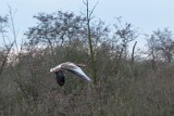 Moerputten-128