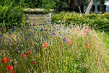 natuur-102