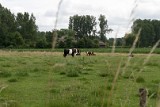 natuur-105