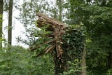 natuur-110