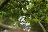 natuur-111