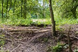 natuur-116