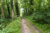 natuur-117