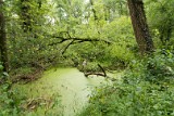 natuur-118