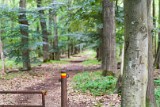 natuur-119
