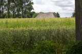 natuur-125
