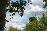 natuur-126