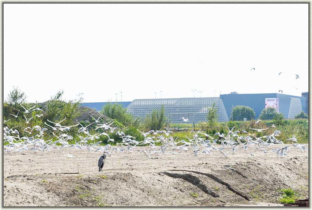 Dit is de laatste foto